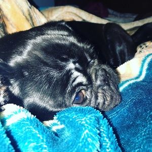 Meet your Posher, Anthony